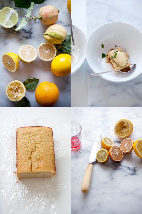 Lemon and olive oil cake