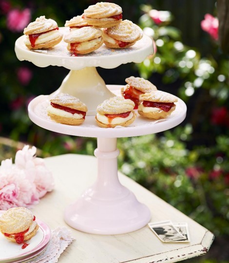 Lemon and strawberry Viennese whirls