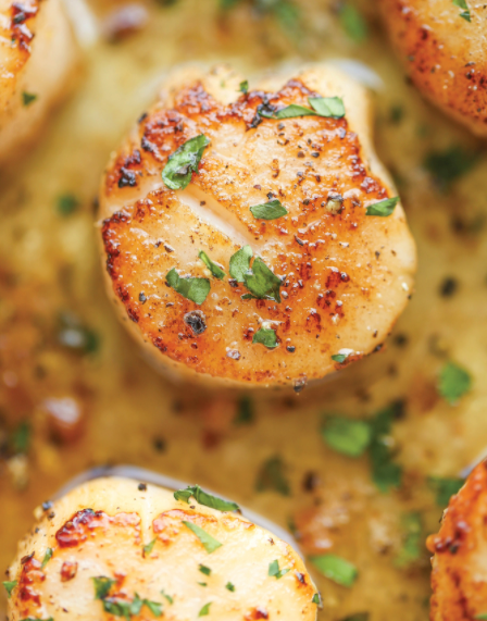 Lemon butter scallops