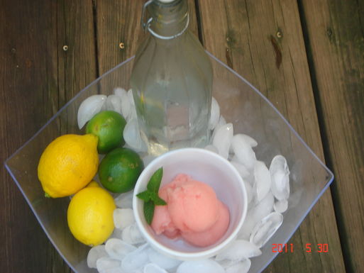 Lemon, lime Campari sorbet float