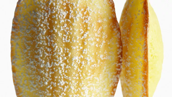 Lemon madeleines