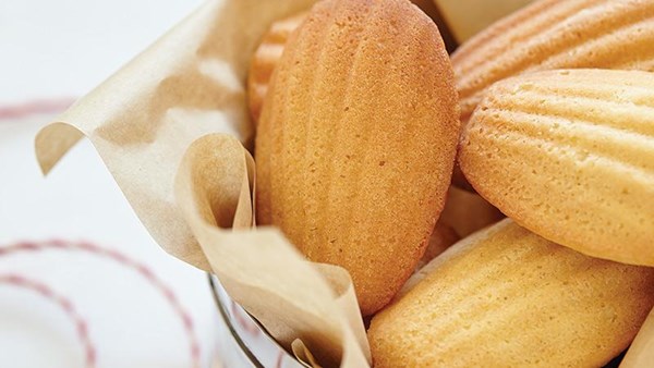 Lemon madeleines