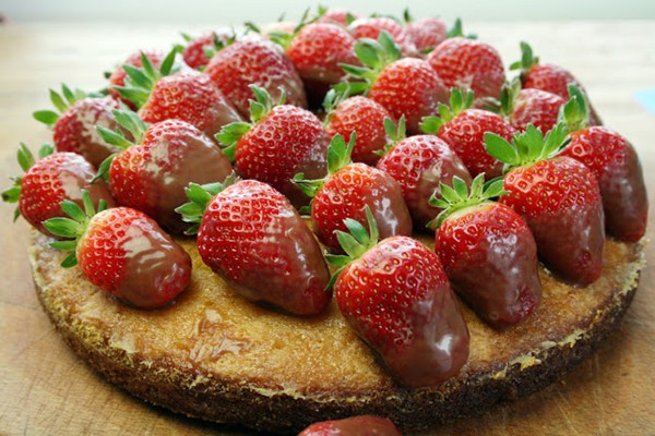 Lemon polenta olive oil cake