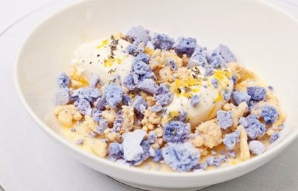 Lemon posset with white chocolate and lavender