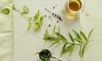 Lemon verbena, lemon balm, and lavender tea