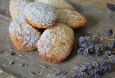 Lemon zest madeleines