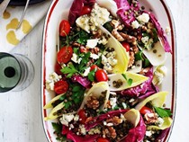 Lentil, Gorgonzola and witlof salad