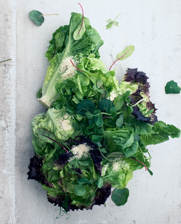 Lettuce hearts with shaved hazelnuts
