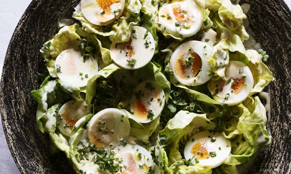 Lettuce salad with eggs, mustard cress and a creamed dressing