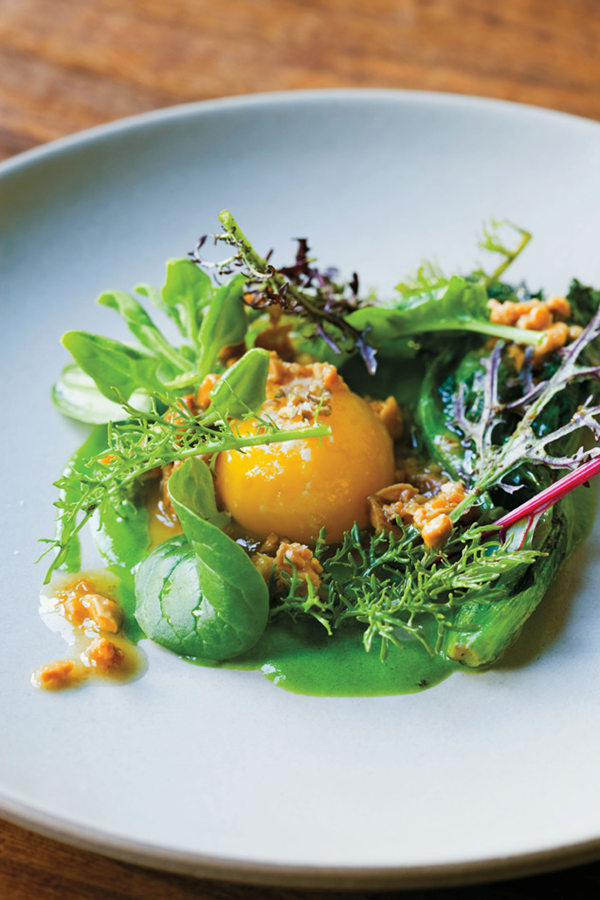 Lettuces raw & cooked, toasted almond vinaigrette, slow cooked egg