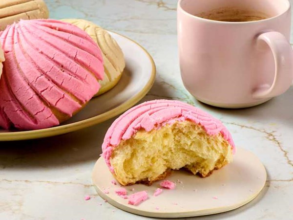 Light & fluffy conchas