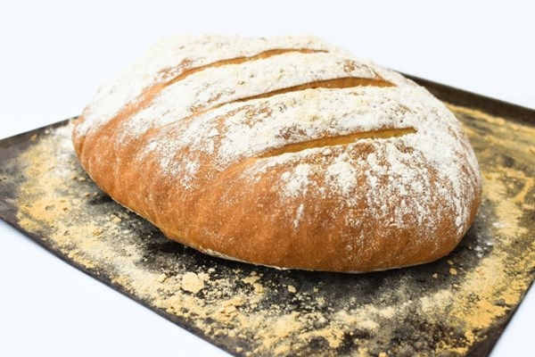  Light rye bloomer bread