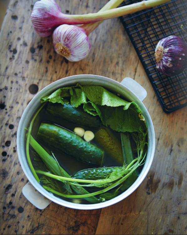 Lightly fermented pickles (Silpnai rauginti agurkai)