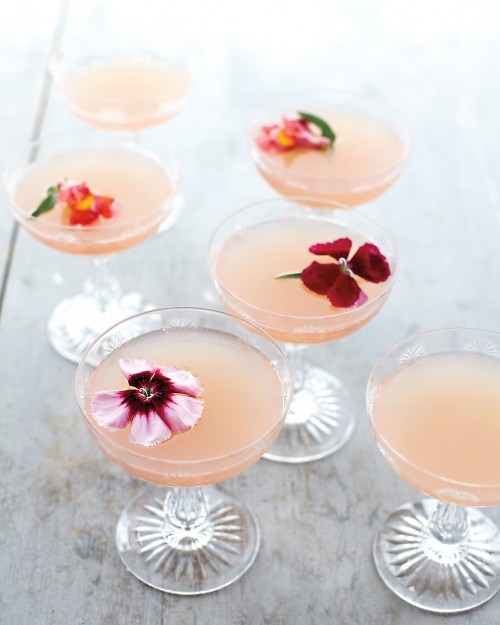 Lillet rosé spring cocktail