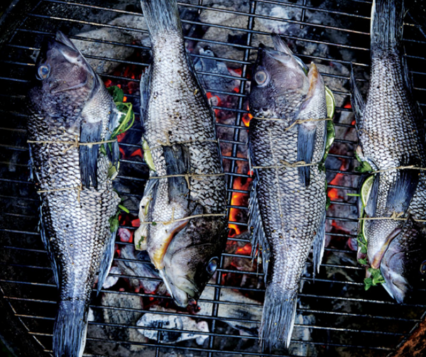 Lime-and-cilantro-stuffed black bass