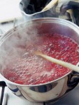 Lingonberry or cranberry jam