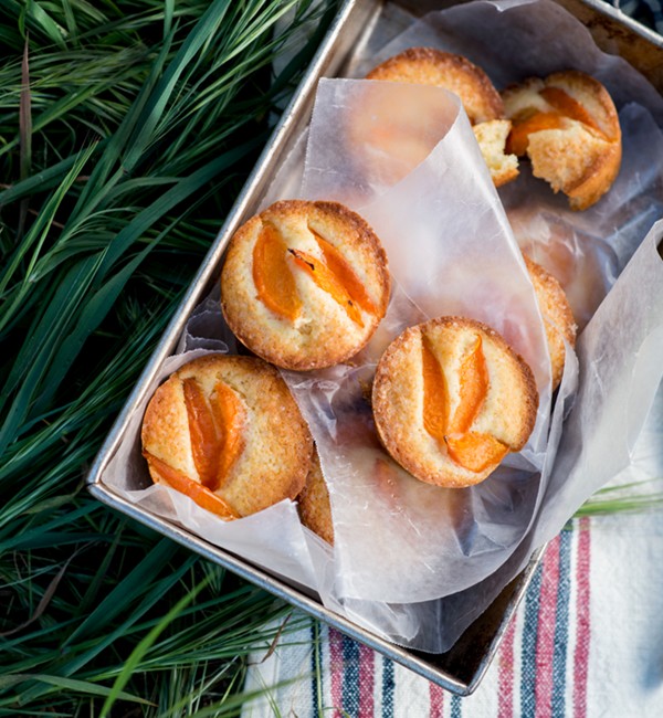 Little apricot cakes
