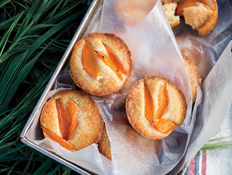 Little apricot cakes
