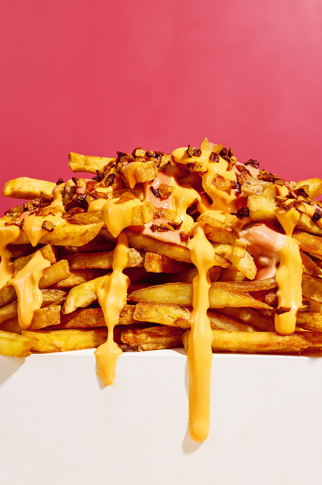 Loaded fries ('Animal fries' vibes)