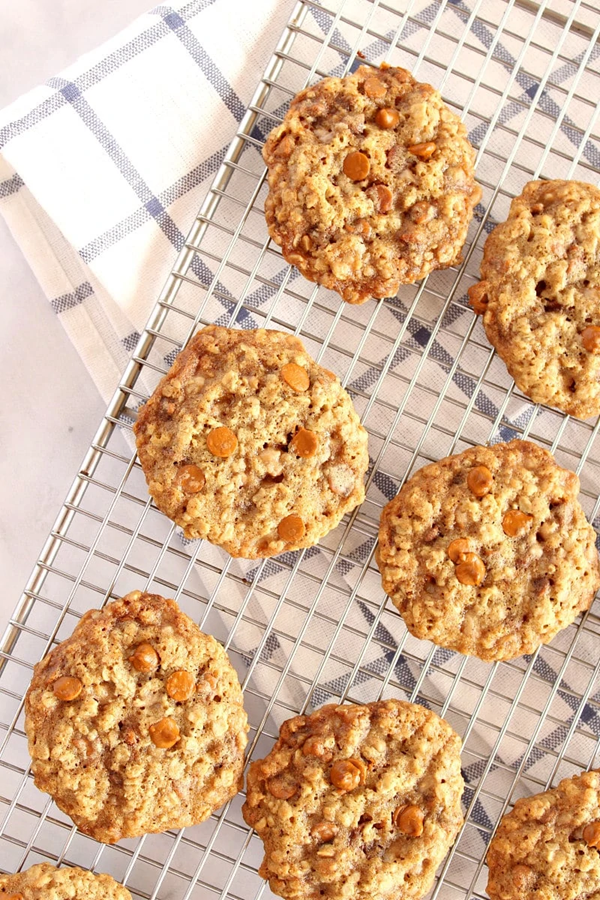 Loaded oatmeal cookies