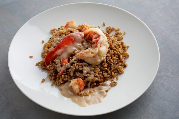 Lobster and farro with lobster beurre rosé