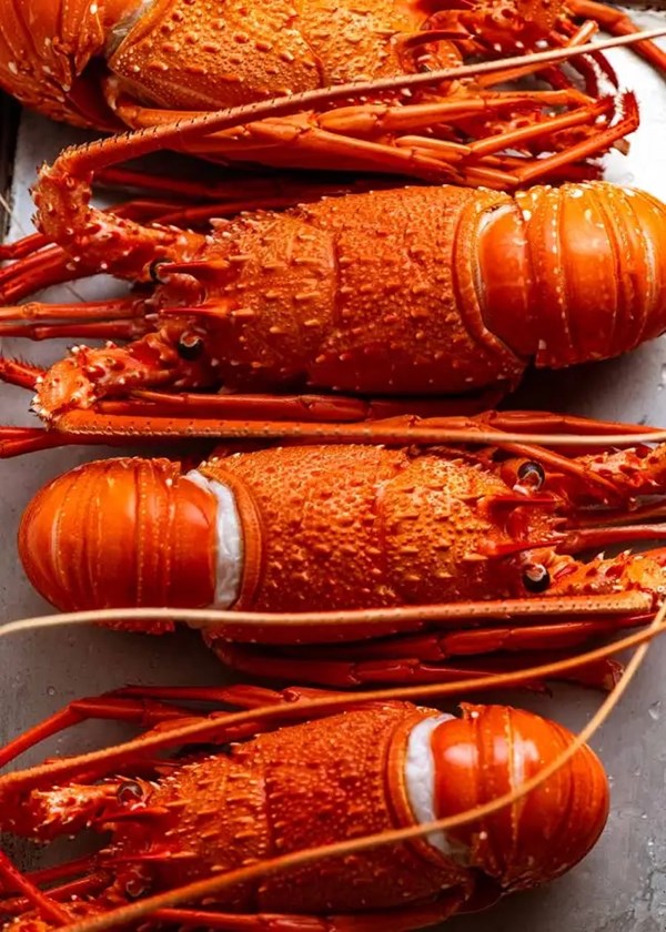 Lobster cocktail