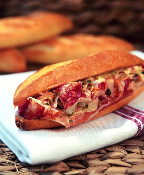 Lobster roll sandwich
