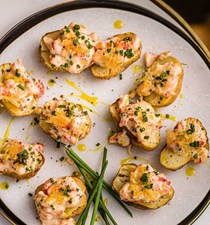 Lobster Thermidor jackets