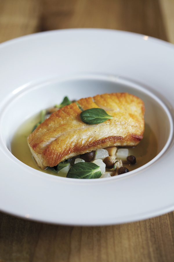 Local black cod with daikon, beech mushrooms, tatsoi & miso consommé