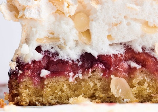 Louise cake with plum and coconut 