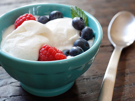 Low fat vanilla bean frozen yogurt