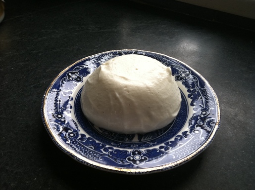 Luxurious panna cotta
