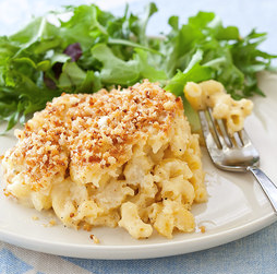 Macaroni and cheese casserole