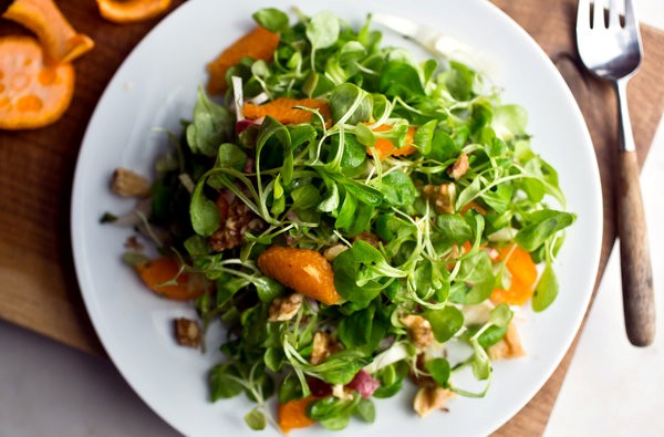 Mache and endive salad with clementines and walnuts