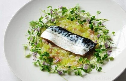 Mackerel confit, cucumber tartare and lemon sherbet dressing
