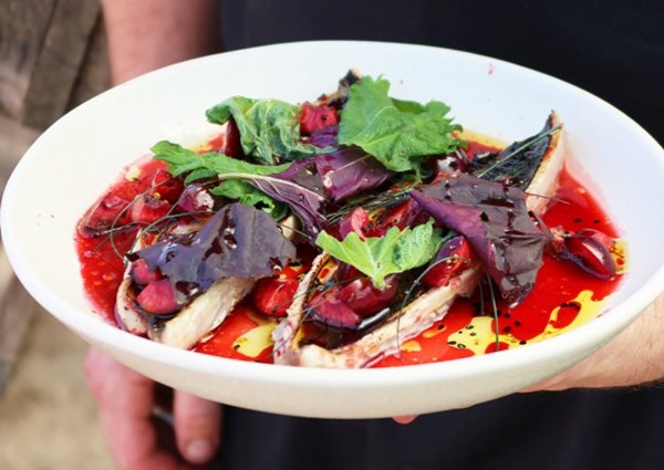 Mackerel crudo with cherries and fig leaf oil