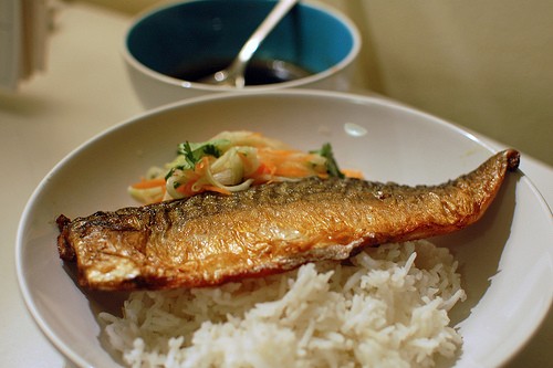 Mackerel fillets with a soy-honey glaze