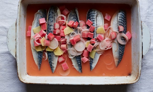 Mackerel soused in rhubarb and ginger, with horseradish cream 