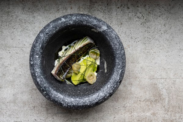 Mackerel, vanilla, gooseberry, horseradish, lovage