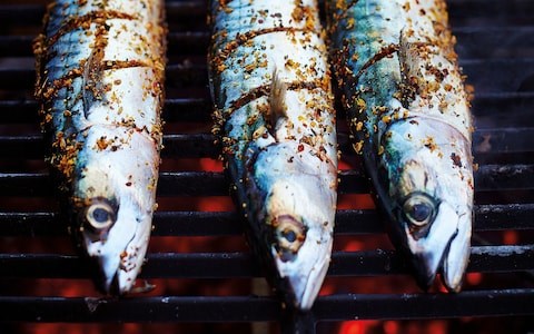 Mackerel with barbecue sauce