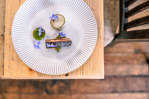  Mackerel with cucumber and borage