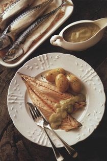 Mackerel with gooseberry sauce