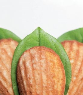 Madeleines