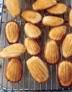 Madeleines from Dax (Madeleines de Dax)