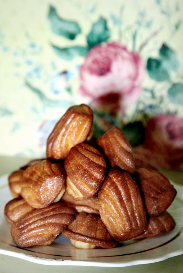 Madeleines with pistachio pots de crême