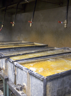 Making corn tortillas as instructed by Diana Kennedy