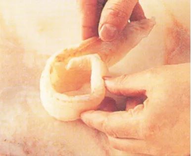Making fish paupiettes
