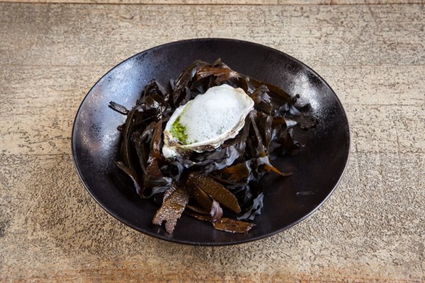 Maldon rock oysters with cucumber, verjus, grapefruit and dill