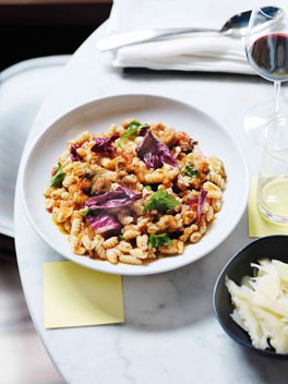 Malloreddus with pork sausage and radicchio