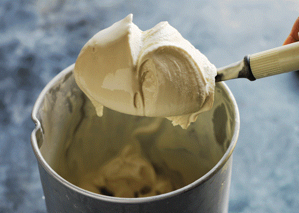 Malt ice cream